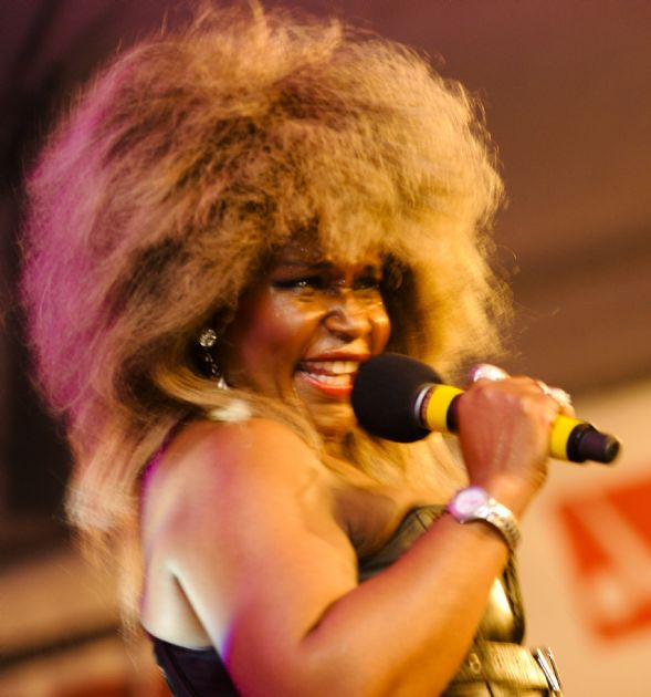 A Tribute to Tina Turner - Tina Turner Tribute Act