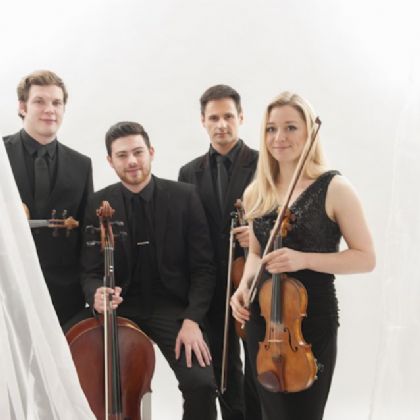 The String Quartet