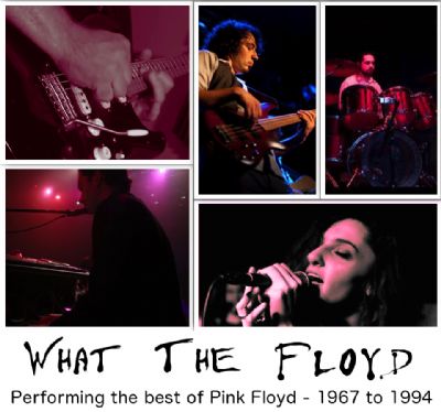 Pink Floyd Tribute Acts